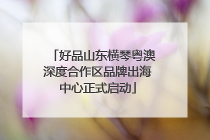 好品山东横琴粤澳深度合作区品牌出海中心正式启动