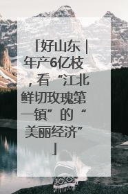 好山东｜年产6亿枝，看“江北鲜切玫瑰第一镇”的“美丽经济”