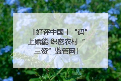 好评中国丨“码”上赋能 织密农村“三资”监管网