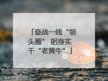 奋战一线“领头雁” 躬身实干“老黄牛”