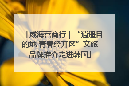 威海营商行｜“逍遥目的地 青春经开区”文旅品牌推介走进韩国