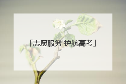 志愿服务 护航高考