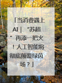 当消费遇上AI｜“苏超”再添一把火！人工智能将彻底颠覆绿茵场？
