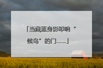 当藏蓝身影叩响“候鸟”的门……