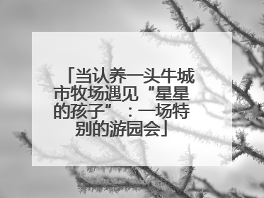 当认养一头牛城市牧场遇见“星星的孩子”：一场特别的游园会