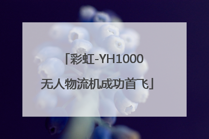 彩虹-YH1000无人物流机成功首飞