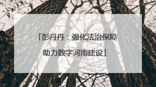彭丹丹：强化法治保障 助力数字河南建设