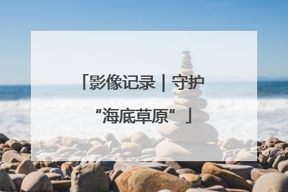 影像记录｜守护“海底草原”
