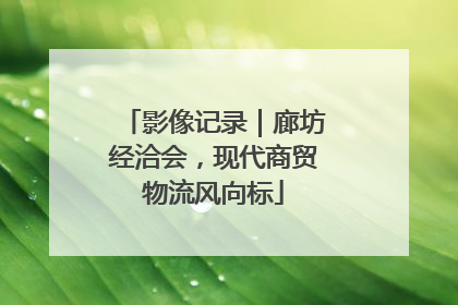 影像记录｜廊坊经洽会，现代商贸物流风向标