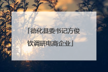 德化县委书记方俊钦调研电商企业