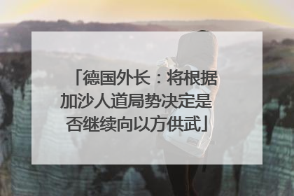 德国外长：将根据加沙人道局势决定是否继续向以方供武
