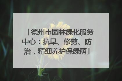 德州市园林绿化服务中心：抗旱、修剪、防治，精细养护保绿荫