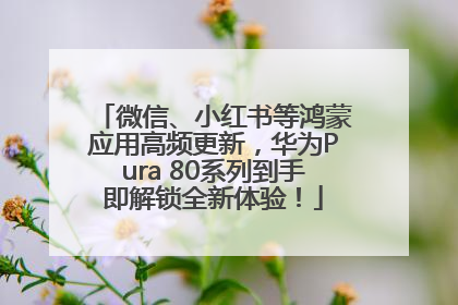 微信、小红书等鸿蒙应用高频更新，华为Pura 80系列到手即解锁全新体验！
