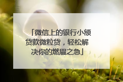 微信上的银行小额贷款微粒贷，轻松解决你的燃眉之急