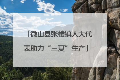 微山县张楼镇人大代表助力“三夏”生产