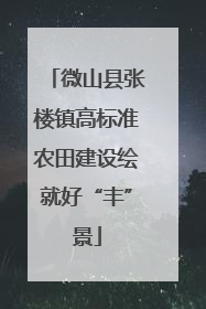 微山县张楼镇高标准农田建设绘就好“丰”景
