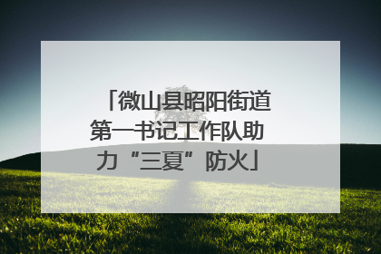 微山县昭阳街道第一书记工作队助力“三夏”防火
