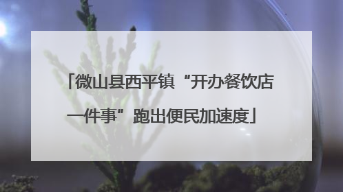 微山县西平镇“开办餐饮店一件事”跑出便民加速度