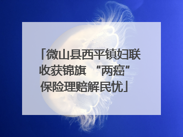 微山县西平镇妇联收获锦旗 “两癌”保险理赔解民忧