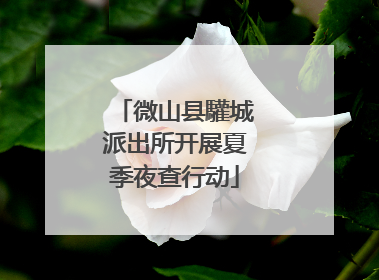 微山县驩城派出所开展夏季夜查行动
