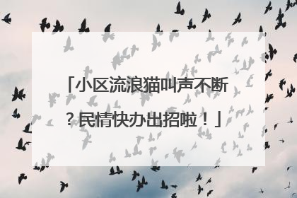 小区流浪猫叫声不断？民情快办出招啦！
