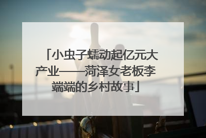 小虫子蠕动起亿元大产业——菏泽女老板李端端的乡村故事