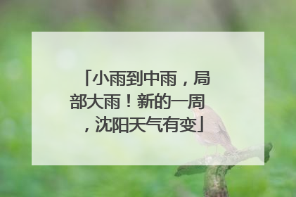 小雨到中雨，局部大雨！新的一周，沈阳天气有变