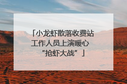 小龙虾散落收费站 工作人员上演暖心“抢虾大战”