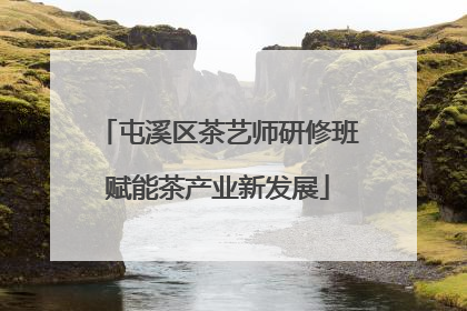 屯溪区茶艺师研修班赋能茶产业新发展