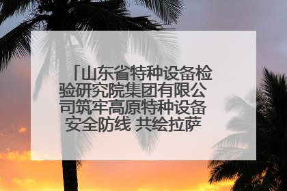 山东省特种设备检验研究院集团有限公司筑牢高原特种设备安全防线 共绘拉萨美好生活画卷