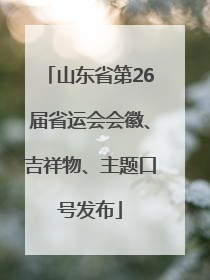 山东省第26届省运会会徽、吉祥物、主题口号发布