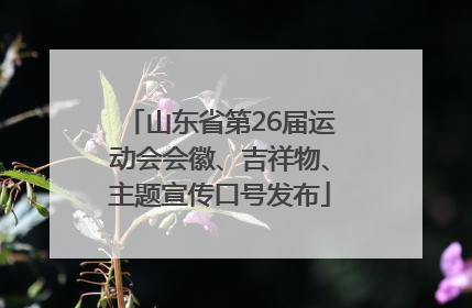 山东省第26届运动会会徽、吉祥物、主题宣传口号发布