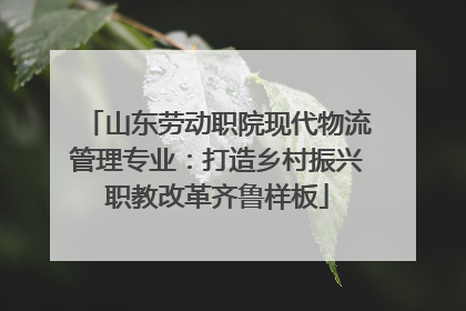 山东劳动职院现代物流管理专业：打造乡村振兴职教改革齐鲁样板