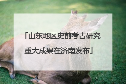 山东地区史前考古研究重大成果在济南发布