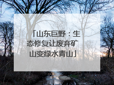 山东巨野：生态修复让废弃矿山变绿水青山