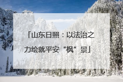 山东日照：以法治之力绘就平安“枫”景