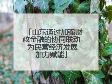 山东通过加强财政金融的协同联动 为民营经济发展加力赋能