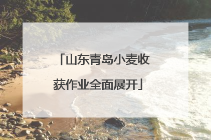 山东青岛小麦收获作业全面展开