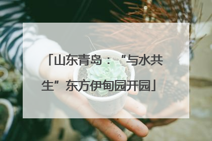 山东青岛：“与水共生”东方伊甸园开园