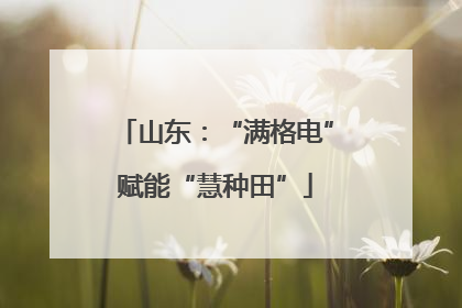 山东：“满格电”赋能“慧种田”