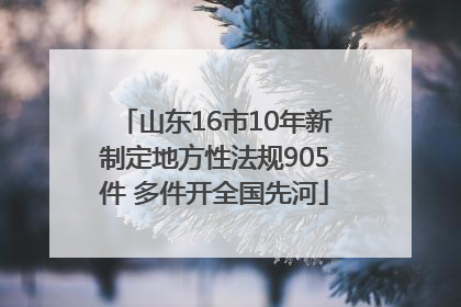 山东16市10年新制定地方性法规905件 多件开全国先河