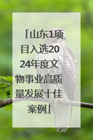 山东1项目入选2024年度文物事业高质量发展十佳案例