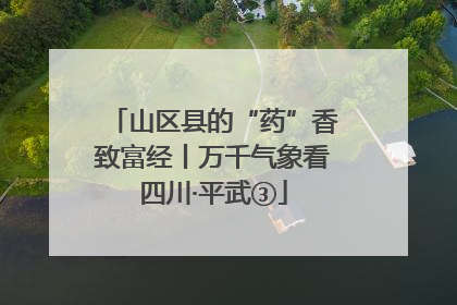 山区县的“药”香致富经丨万千气象看四川·平武③
