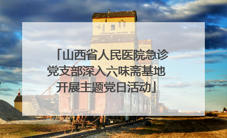 山西省人民医院急诊党支部深入六味斋基地开展主题党日活动