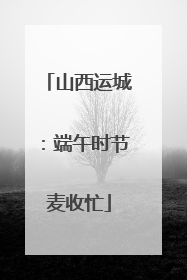 山西运城：端午时节麦收忙