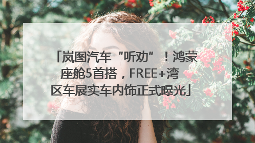 岚图汽车“听劝”！鸿蒙座舱5首搭，FREE+湾区车展实车内饰正式曝光