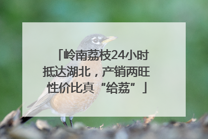 岭南荔枝24小时抵达湖北，产销两旺性价比真“给荔”