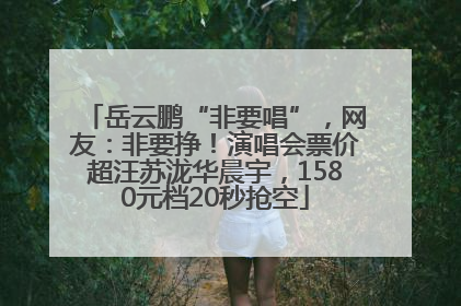 岳云鹏“非要唱”，网友：非要挣！演唱会票价超汪苏泷华晨宇，1580元档20秒抢空