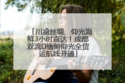 川渝丝绸、仰光海鲜3小时直达！成都双流⇌缅甸仰光全货运航线开通