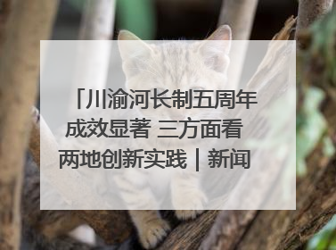 川渝河长制五周年成效显著 三方面看两地创新实践｜新闻发布最前线